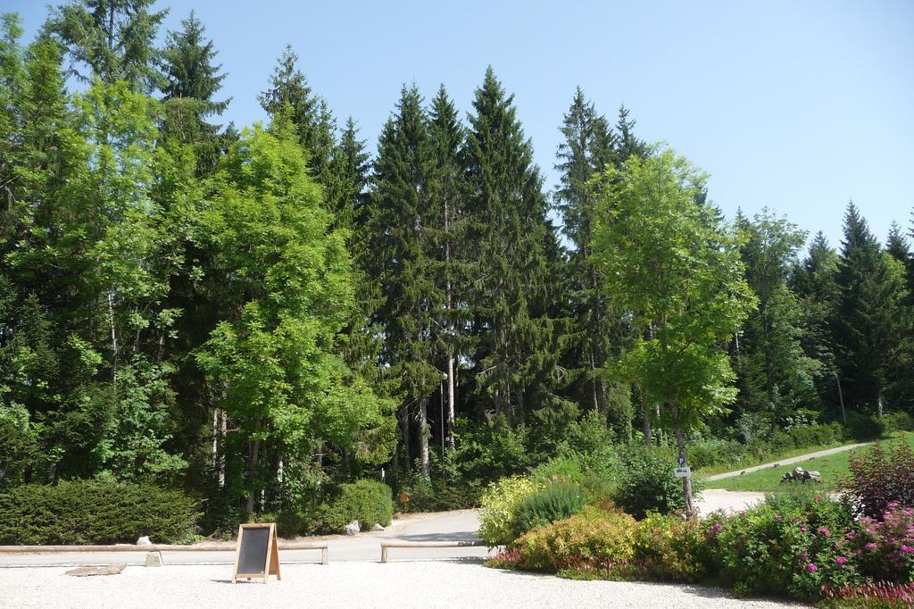 Domaine De La Sapiniere Hotel Thorens-Glières Zewnętrze zdjęcie